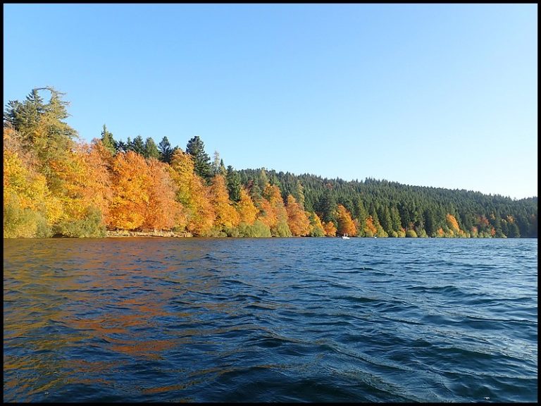 Pêche d’Automne au lac du Bouchet (Oct2019) Auvergne Passion Mouche